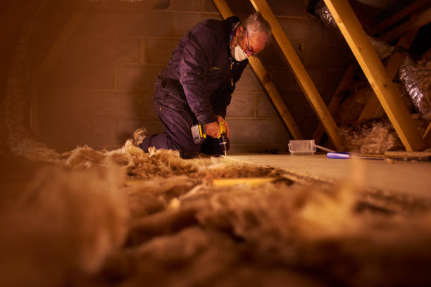 Best Crawl Space Insulation  in Elephant Butte, NM